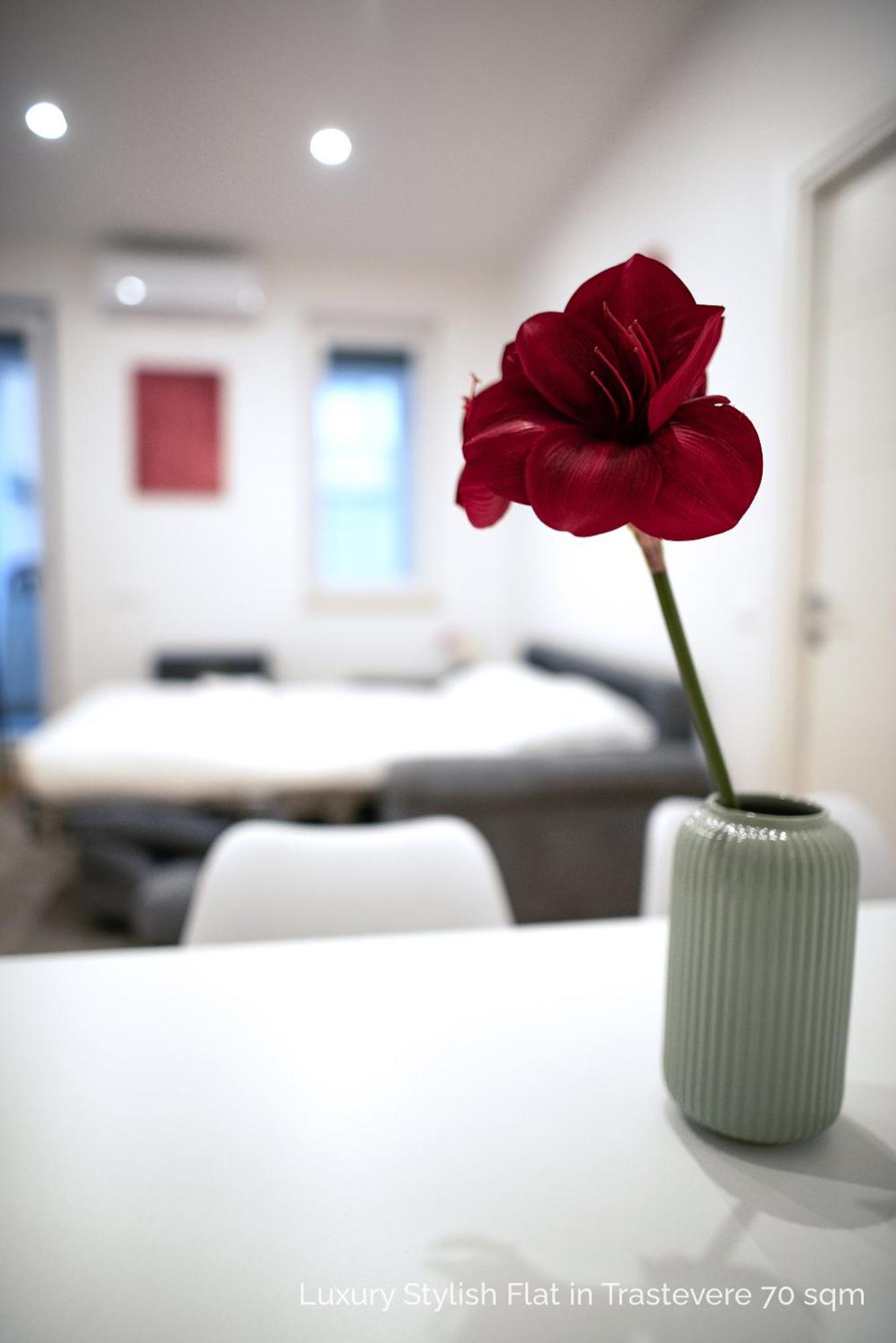 La Dolce Vita - Luxury Stylish Flats In Trastevere 70-90Sqm 罗马 外观 照片